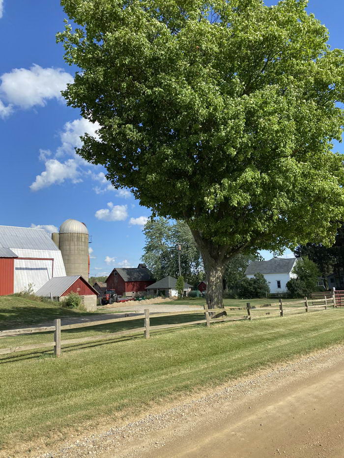 Whiting - July 2021 Photo Of Whiting (newer photo)